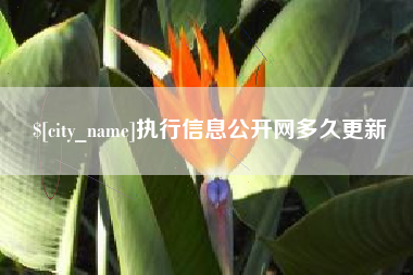 博罗执行信息公开网多久更新