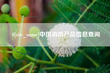博罗中国消防产品信息查询