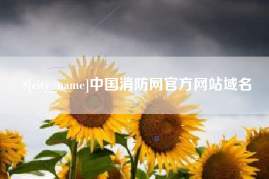 博罗中国消防网官方网站域名