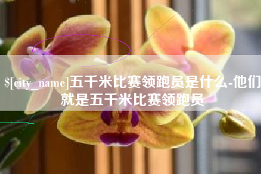 博罗五千米比赛领跑员是什么-他们就是五千米比赛领跑员