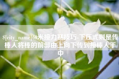 博罗60米接力赛技巧-下压式则是传棒人将棒的前部由上向下传到接棒人手中