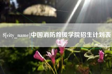 博罗中国消防救援学院招生计划表