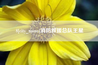 博罗消防救援总队王星