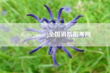 博罗全国消防招考网