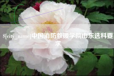 博罗中国消防救援学院山东选科要求