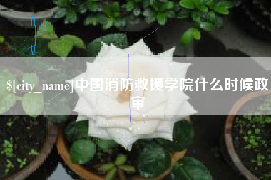 博罗中国消防救援学院什么时候政审