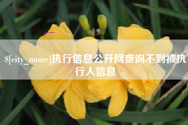 博罗执行信息公开网查询不到被执行人信息