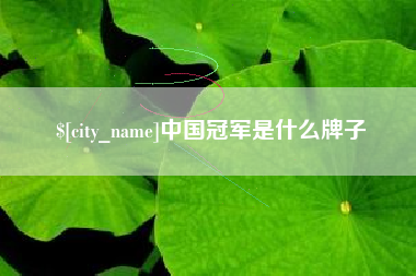 博罗中国冠军是什么牌子