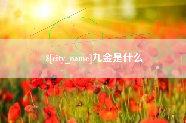 博罗九金是什么