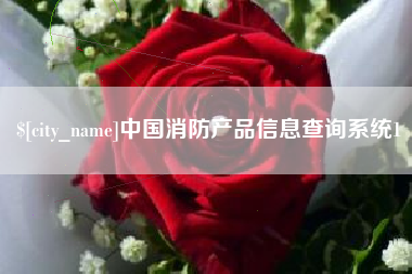 博罗中国消防产品信息查询系统1