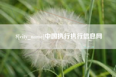 博罗中国执行执行信息网