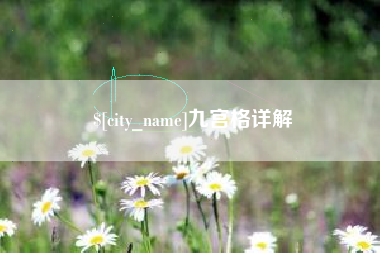 博罗九宫格详解