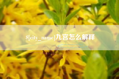博罗九宫怎么解释