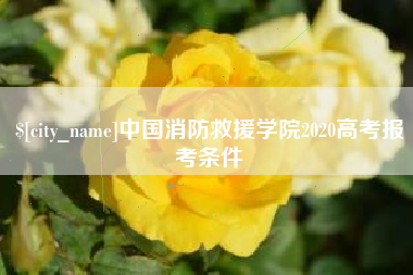 博罗中国消防救援学院2020高考报考条件