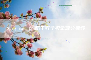 博罗消防工程学校录取分数线