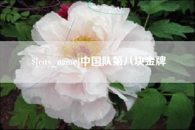 博罗中国队第八块金牌