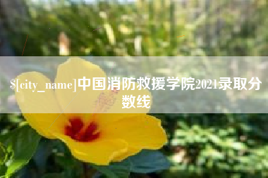 博罗中国消防救援学院2021录取分数线