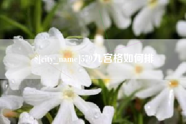 博罗579九宫格如何排