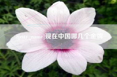 博罗现在中国哪几个金牌