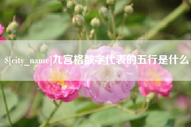 博罗九宫格数字代表的五行是什么