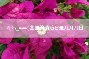 博罗全国的消防日是几月几日