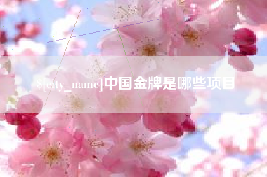 博罗中国金牌是哪些项目
