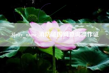 博罗消防证国网查询操作证