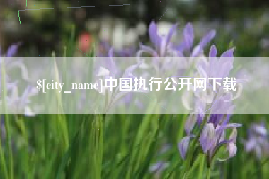 博罗中国执行公开网下载