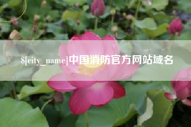 博罗中国消防官方网站域名