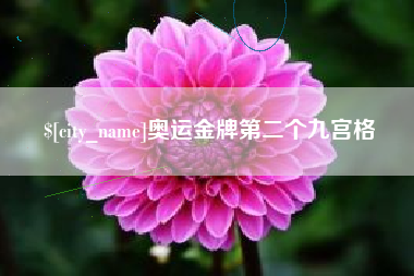博罗奥运金牌第二个九宫格