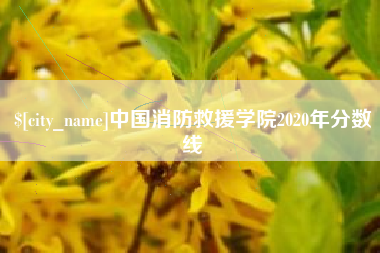 博罗中国消防救援学院2020年分数线
