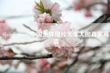 博罗中国金牌图片大全大图真实高清