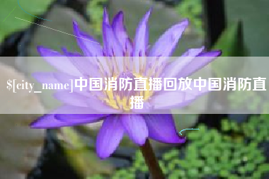 博罗中国消防直播回放中国消防直播