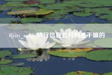 博罗执行信息公开网是干嘛的