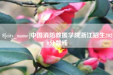 博罗中国消防救援学院浙江招生2020分数线