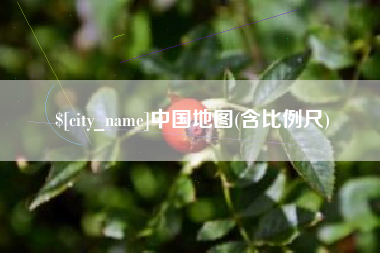 博罗中国地图(含比例尺)