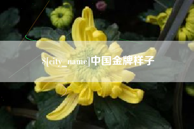 博罗中国金牌样子