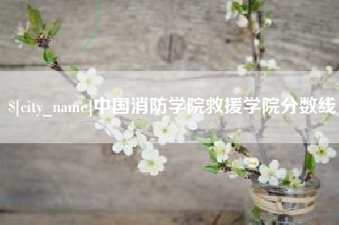 博罗中国消防学院救援学院分数线