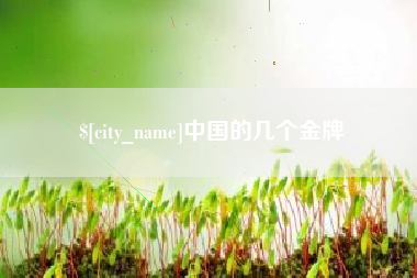 博罗中国的几个金牌