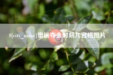 博罗奥运夺金时刻九宫格图片