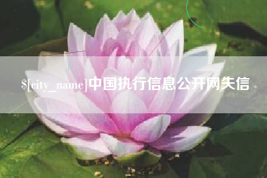 博罗中国执行信息公开网失信
