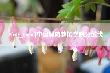 博罗中国消防救援学院分数线