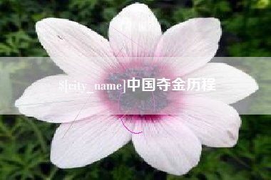 博罗中国夺金历程