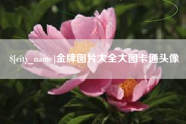 博罗金牌图片大全大图卡通头像