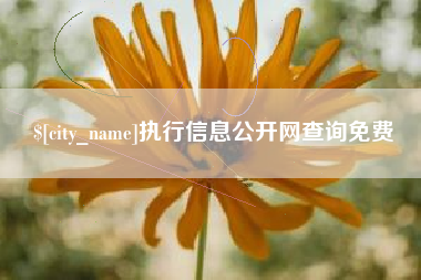 博罗执行信息公开网查询免费