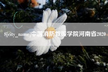 博罗中国消防救援学院河南省2020